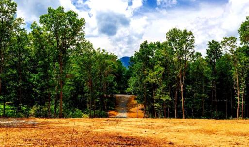 Photo #3 of 15 MONT VIEW LN, LURAY, VA 3.1 acres