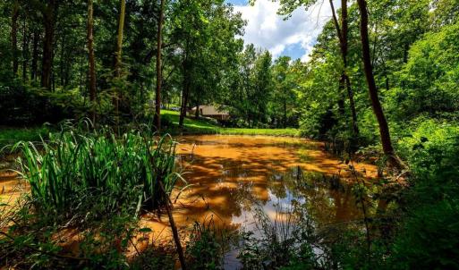 Photo #4 of 15 MONT VIEW LN, LURAY, VA 3.1 acres