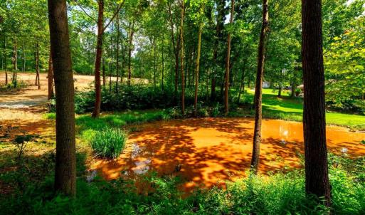 Photo #5 of 15 MONT VIEW LN, LURAY, VA 3.1 acres