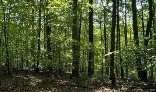 Photo #1 of 2 FIERY RUN RD, LINDEN, VA 8.8 acres