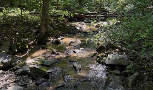 Photo #2 of 2 FIERY RUN RD, LINDEN, VA 8.8 acres