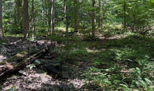 Photo #3 of 2 FIERY RUN RD, LINDEN, VA 8.8 acres