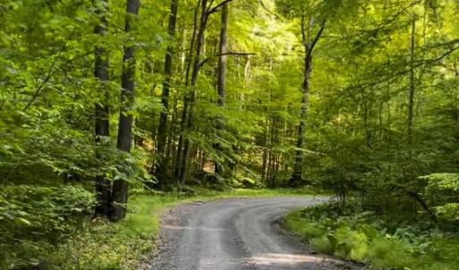 Photo #1 of 3 HARDSCRABBLE RD, LINDEN, VA 4.3 acres