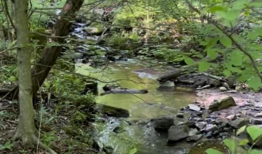 Photo #2 of 3 HARDSCRABBLE RD, LINDEN, VA 4.3 acres