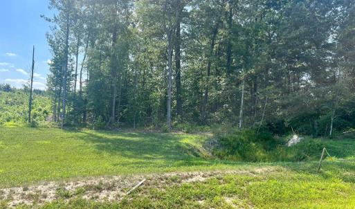 Photo #3 of BUCKNERS LANE, MINERAL, VA 1.9 acres