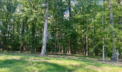Photo #3 of SOUTHERN RIDGE, MINERAL, VA 1.5 acres