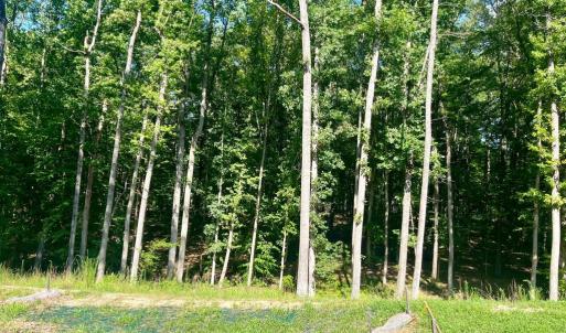 Photo #2 of SOUTHERN RIDGE, MINERAL, VA 1.6 acres