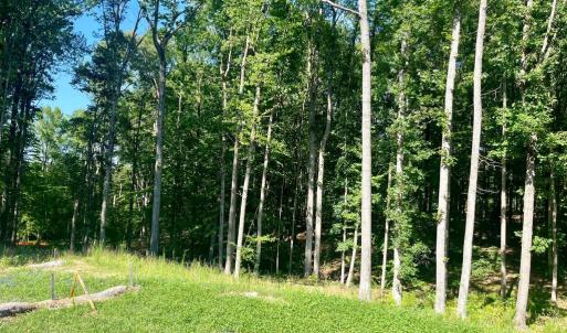 Photo #3 of SOUTHERN RIDGE, MINERAL, VA 1.6 acres