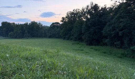 Photo #1 of NOVUM RD, REVA, VA 3.0 acres