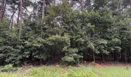Photo #3 of 2319 VALENTINE DR, BUMPASS, VA 1.6 acres