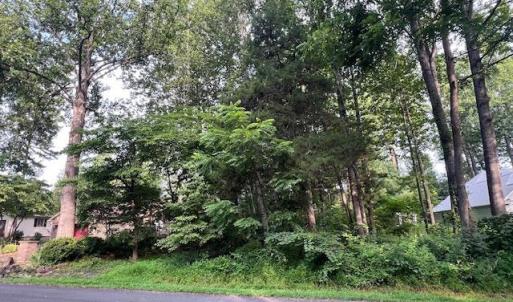 Photo #1 of 622 HARRISON CIR, LOCUST GROVE, VA 0.3 acres