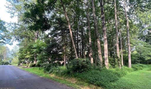 Photo #2 of 622 HARRISON CIR, LOCUST GROVE, VA 0.3 acres