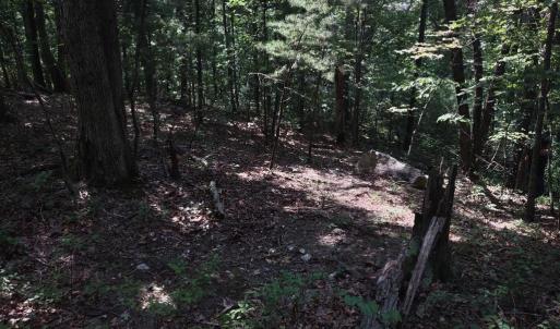 Photo #2 of BLEVINS ROAD, LURAY, VA 0.7 acres
