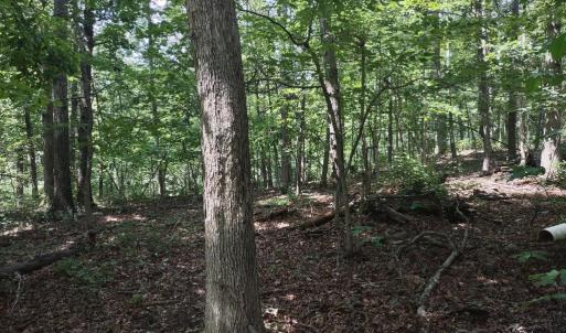 Photo #3 of BLEVINS ROAD, LURAY, VA 0.7 acres