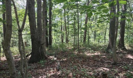 Photo #4 of BLEVINS ROAD, LURAY, VA 0.7 acres
