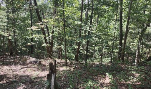 Photo #5 of BLEVINS ROAD, LURAY, VA 0.7 acres