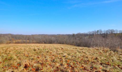 Photo #19 of 2919 ROKEBY RD, DELAPLANE, VA 48.8 acres