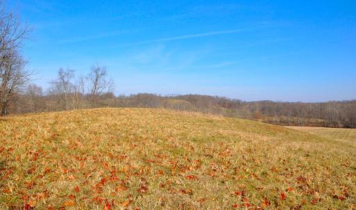 Photo #21 of 2919 ROKEBY RD, DELAPLANE, VA 48.8 acres