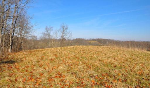 Photo #24 of 2919 ROKEBY RD, DELAPLANE, VA 48.8 acres