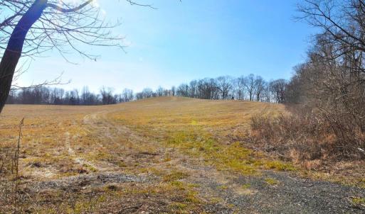 Photo #16 of 2919 ROKEBY RD, DELAPLANE, VA 48.8 acres