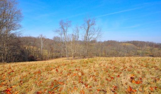 Photo #18 of 2919 ROKEBY RD, DELAPLANE, VA 48.8 acres
