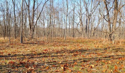 Photo #22 of 2919 ROKEBY RD, DELAPLANE, VA 48.8 acres