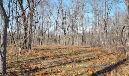 Photo #23 of 2919 ROKEBY RD, DELAPLANE, VA 48.8 acres