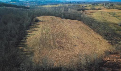 Photo #54 of 2919 ROKEBY RD, DELAPLANE, VA 48.8 acres