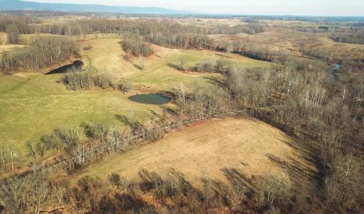 Photo #63 of 2919 ROKEBY RD, DELAPLANE, VA 48.8 acres