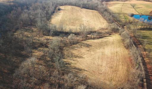 Photo #67 of 2919 ROKEBY RD, DELAPLANE, VA 48.8 acres
