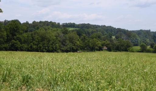 Photo #74 of 2919 ROKEBY RD, DELAPLANE, VA 48.8 acres