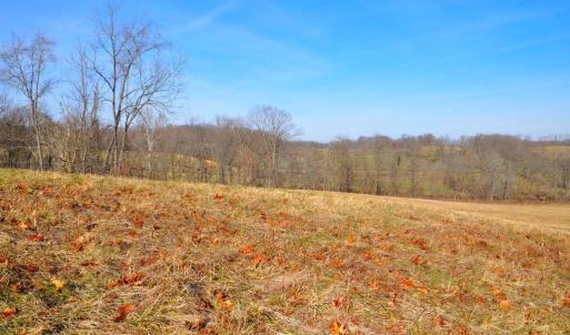 Photo #69 of 2919 ROKEBY RD, DELAPLANE, VA 48.8 acres