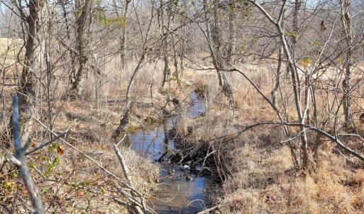 Photo #45 of 2919 ROKEBY RD, DELAPLANE, VA 48.8 acres