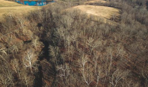 Photo #28 of 2919 ROKEBY RD, DELAPLANE, VA 48.8 acres