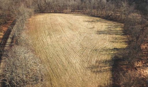 Photo #26 of 2919 ROKEBY RD, DELAPLANE, VA 48.8 acres
