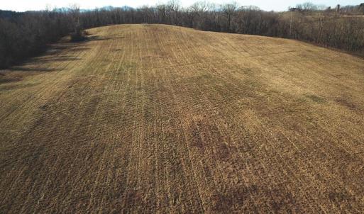 Photo #33 of 2919 ROKEBY RD, DELAPLANE, VA 48.8 acres