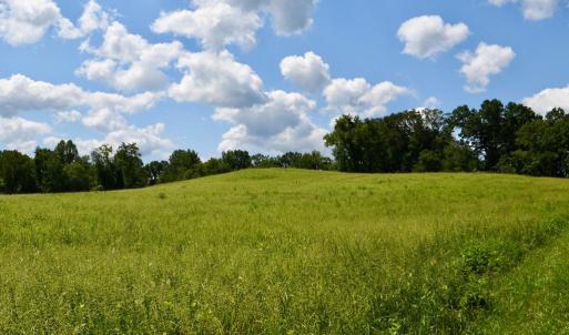 Photo #9 of 2919 ROKEBY RD, DELAPLANE, VA 48.8 acres
