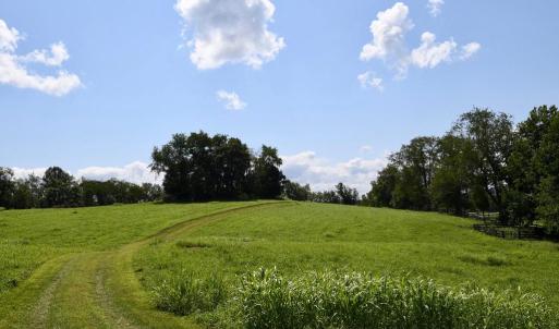 Photo #13 of 2919 ROKEBY RD, DELAPLANE, VA 48.8 acres