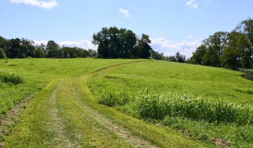 Photo #14 of 2919 ROKEBY RD, DELAPLANE, VA 48.8 acres