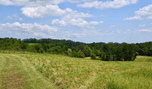 Photo #19 of 2919 ROKEBY RD, DELAPLANE, VA 48.8 acres