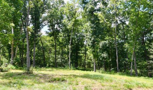 Photo #22 of 2919 ROKEBY RD, DELAPLANE, VA 48.8 acres