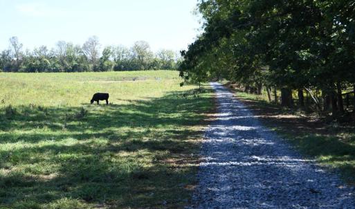 Photo #2 of 2919 ROKEBY RD, DELAPLANE, VA 48.8 acres
