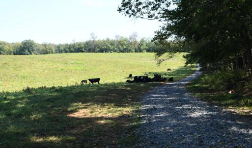 Photo #3 of 2919 ROKEBY RD, DELAPLANE, VA 48.8 acres