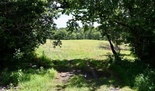 Photo #24 of 2919 ROKEBY RD, DELAPLANE, VA 48.8 acres