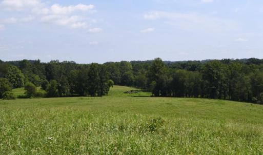 Photo #29 of 2919 ROKEBY RD, DELAPLANE, VA 48.8 acres