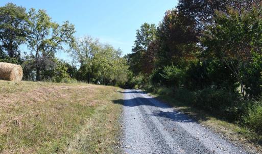 Photo #4 of 2919 ROKEBY RD, DELAPLANE, VA 48.8 acres