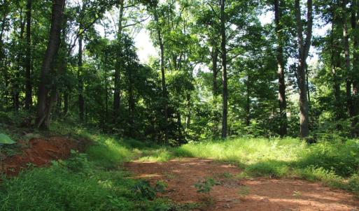 Photo #1 of BAXTER DR, STANLEY, VA 33.3 acres