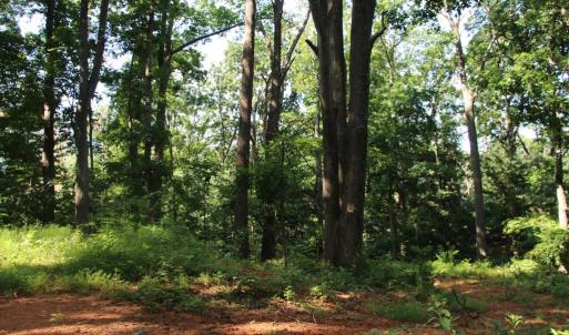 Photo #2 of BAXTER DR, STANLEY, VA 33.3 acres