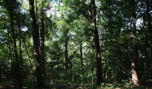 Photo #5 of BAXTER DR, STANLEY, VA 33.3 acres
