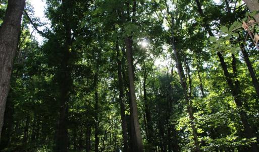 Photo #6 of BAXTER DR, STANLEY, VA 33.3 acres